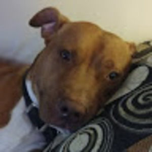 Meet your Posher, Stephen